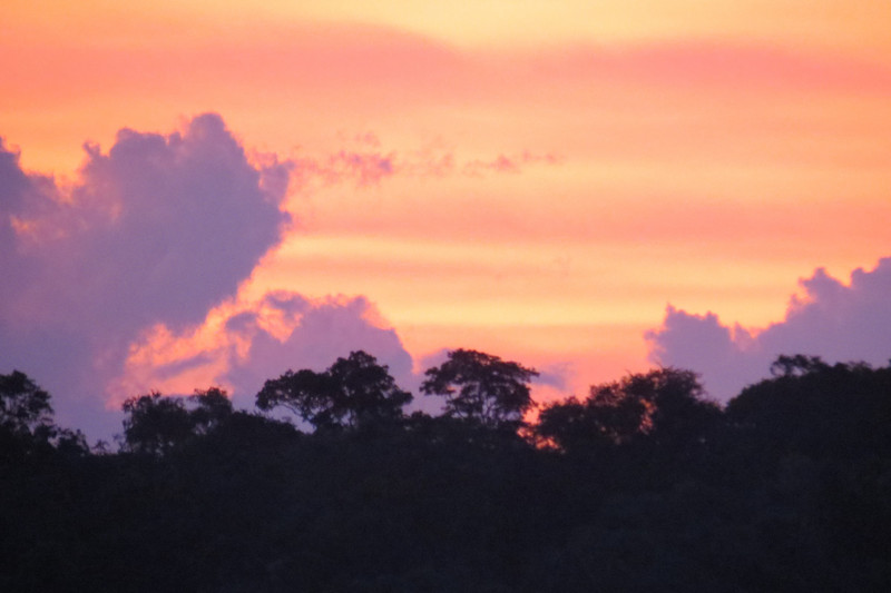 Iguazu sunset over the jungle