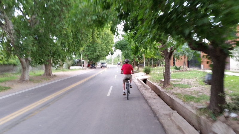 Pedro on the bike tour of Mendoza