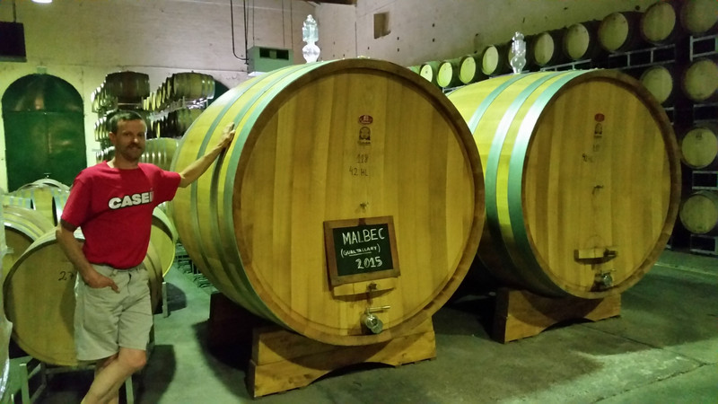 Lagarde winery oak barrels