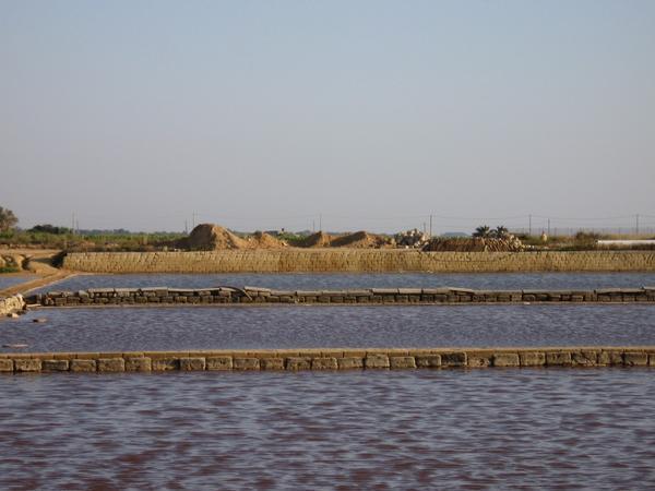 Salt marshes