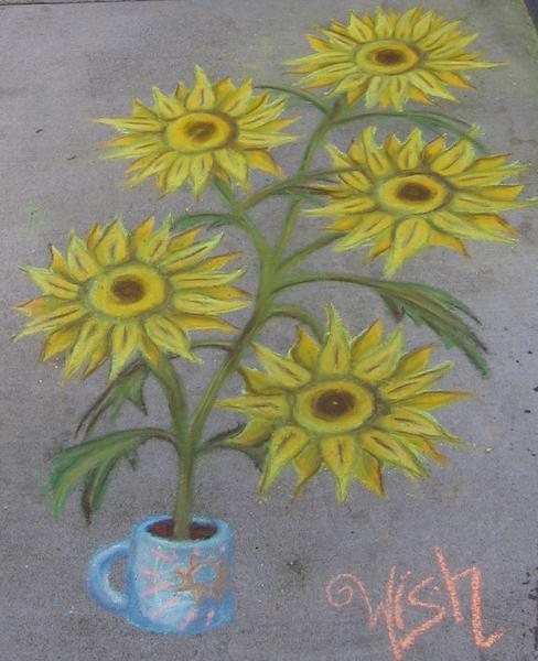 Sunflowers in a cup