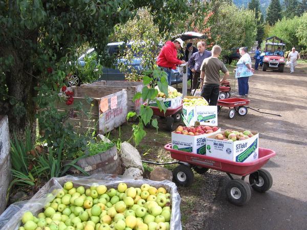 A wagon load is better