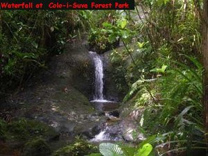 Waterfall at  Colo-i-Suva Forest Park