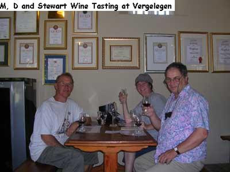 Wine Tasting at Vergelegen