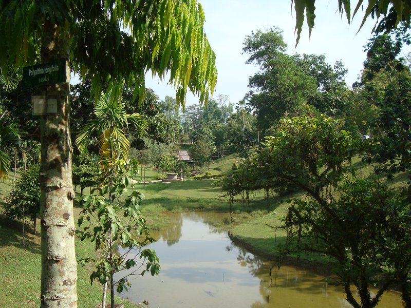 The Middle Lake -Serembam Gardens - Copy