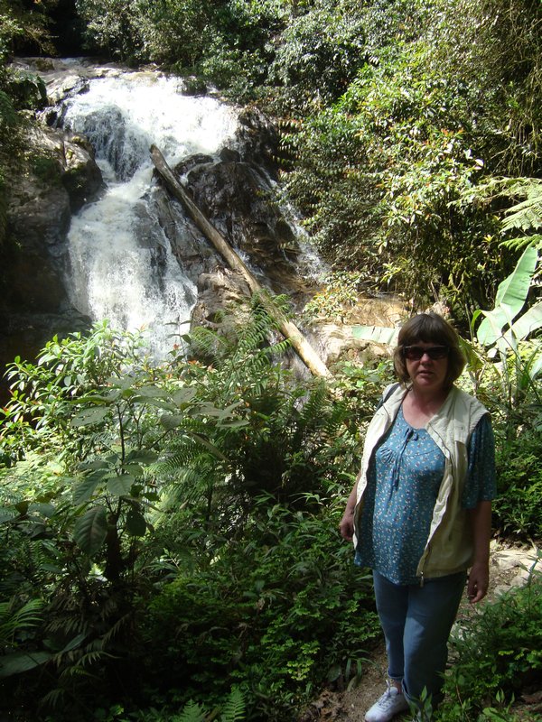 Robinson Falls, Cameron Highlands