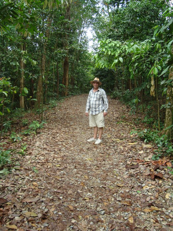 D on Rainforest Walk