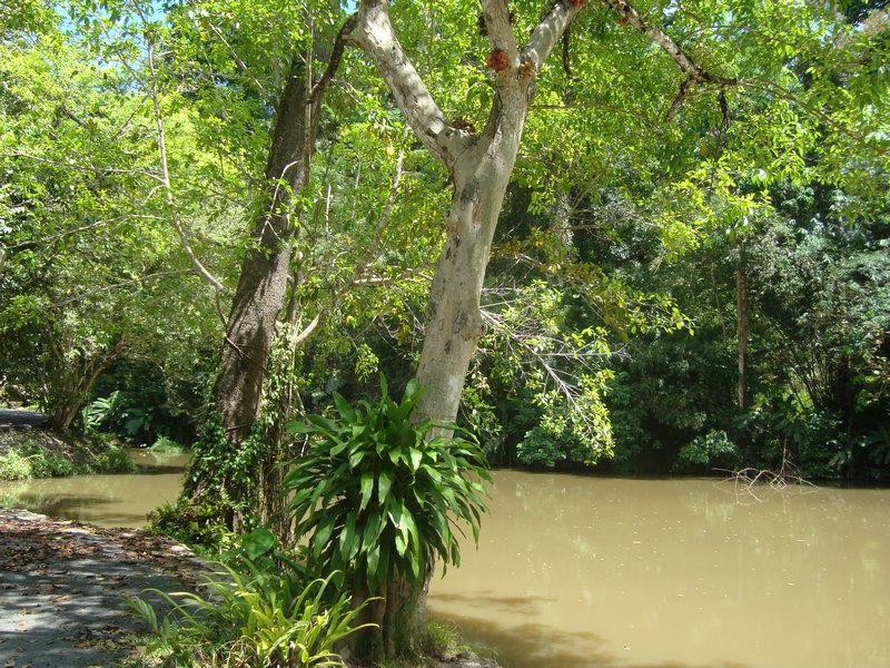 Ton Sai Nature Park