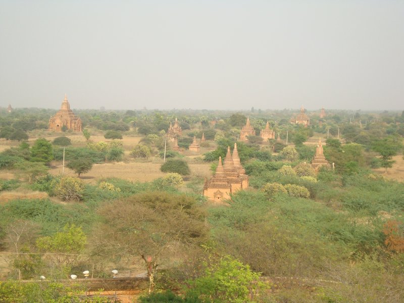 Bagan Temples Panorama