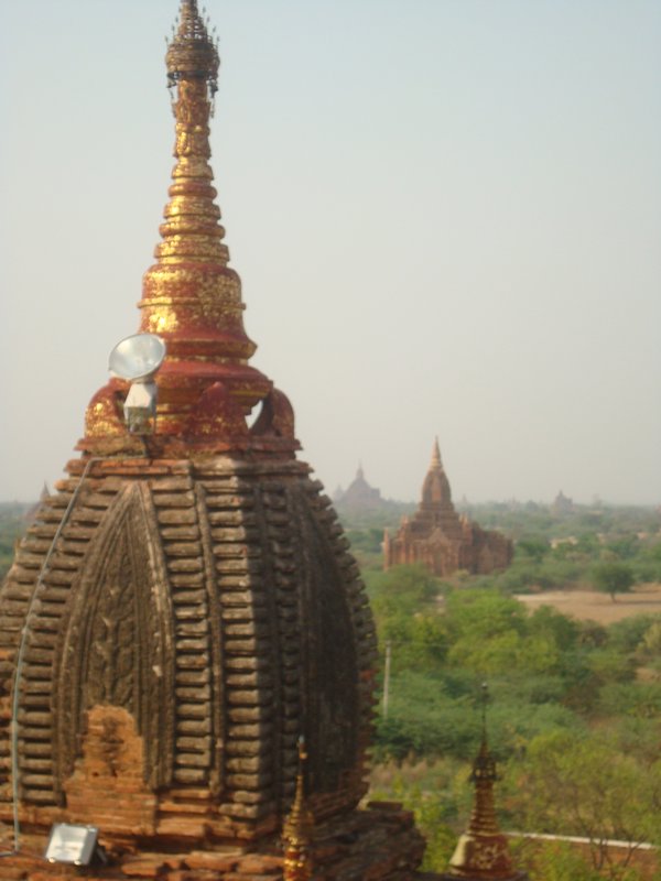 "Umbrella" Bagan Temples