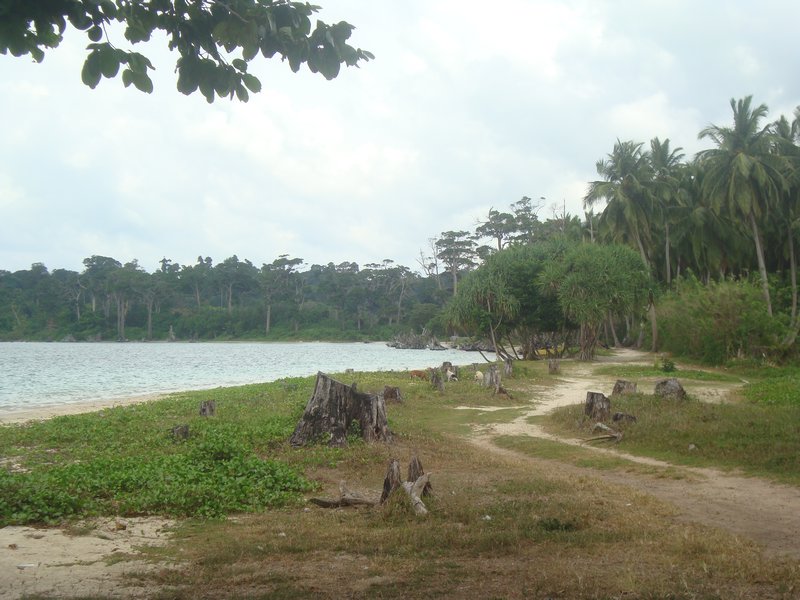 Ghandi Marine Park, Andaman Islands 