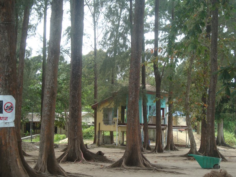 Ghandi Marine Park, Andaman Islands