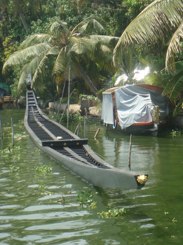 Snake Boat
