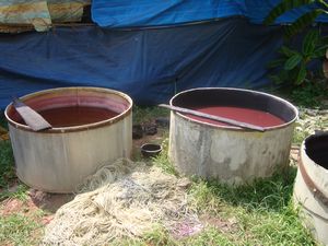 Coir Factory  Natural Dyes