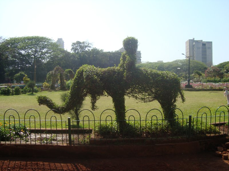 Topiary at Hanging Gardens