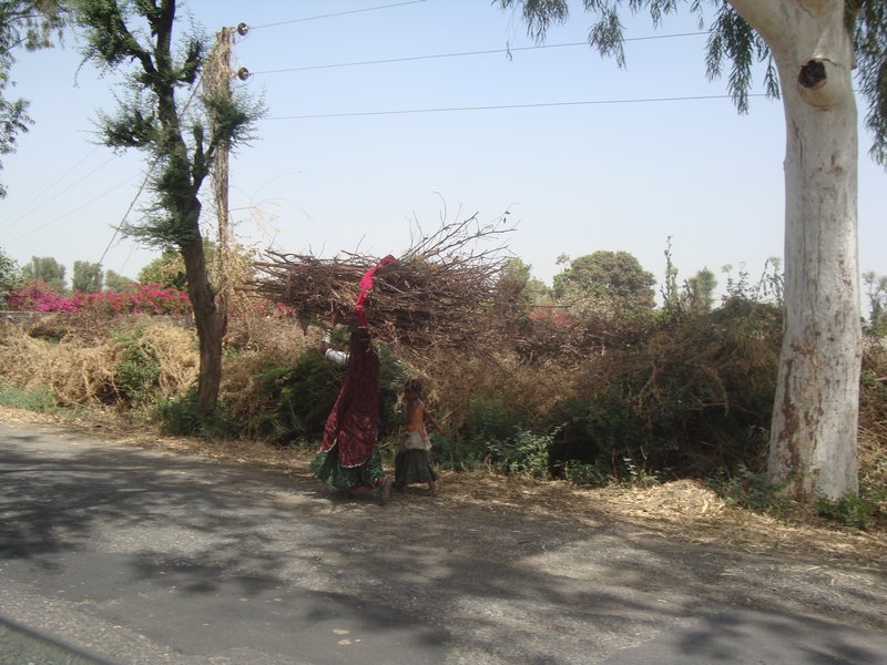 Drive from Jain Temple to Johdpur - Women Carrying Sticks