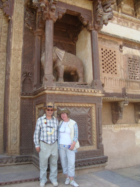  M and D with Tuskless Elephants