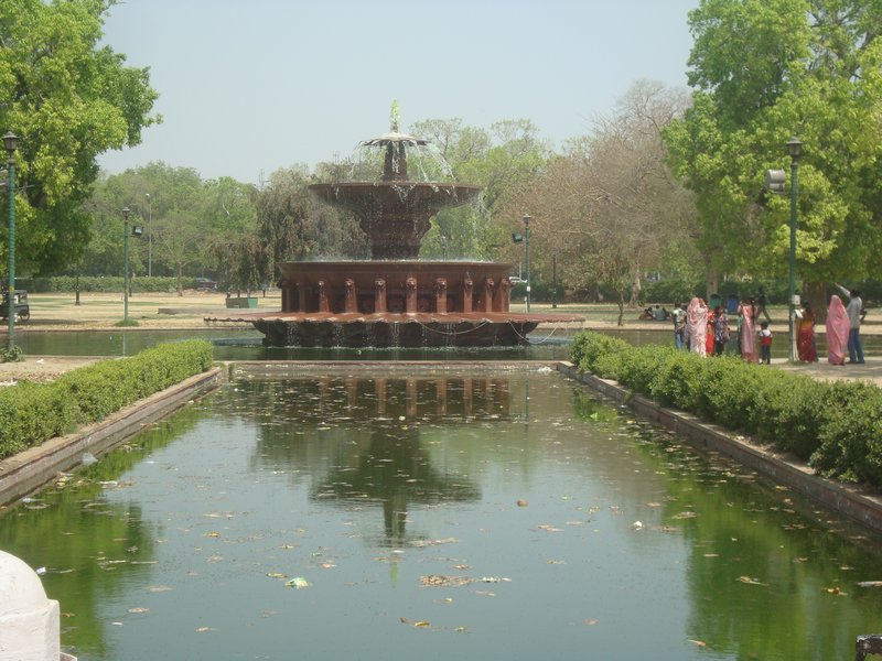 The Public Park Behind India Gate