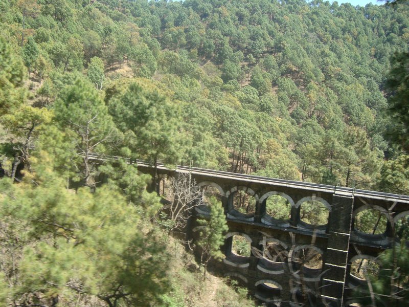 Viaduct on the Narrow Guage Line