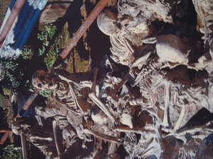 Preserved Human Remains found on Herculaneum Beach