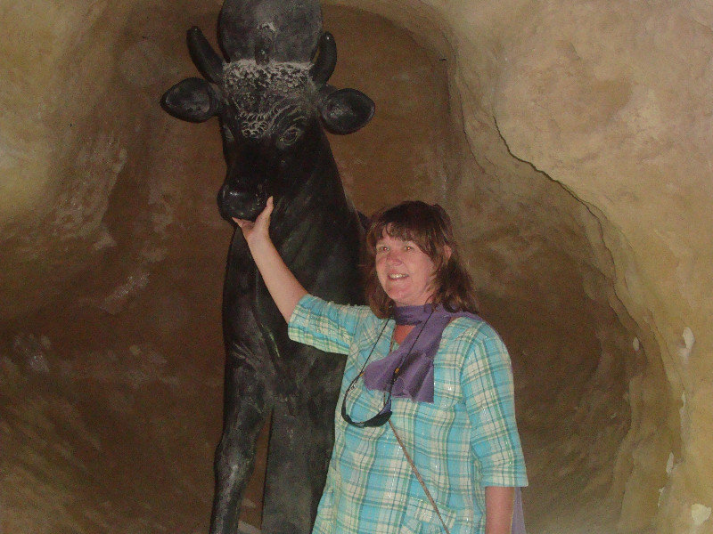 M with the Apis Bull