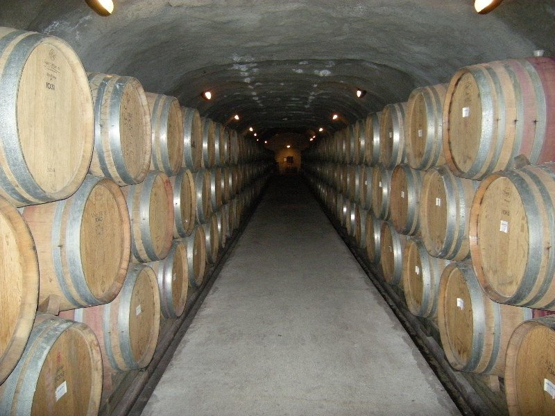 38.  Gibbston Valley Vineyard Tour - Cellar