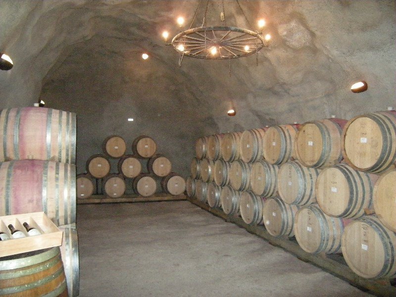 41.  Gibbston Valley Vineyard Tour - Cellar
