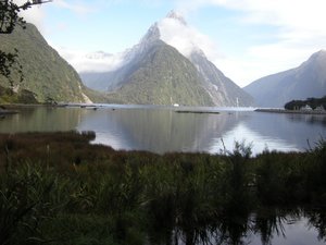 11. The Head of Milford Sound