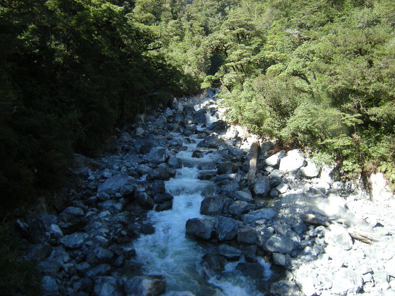 25. Recent Rockfall (Aug 13) on the way from Lake Manapouri to Doubtful Sound