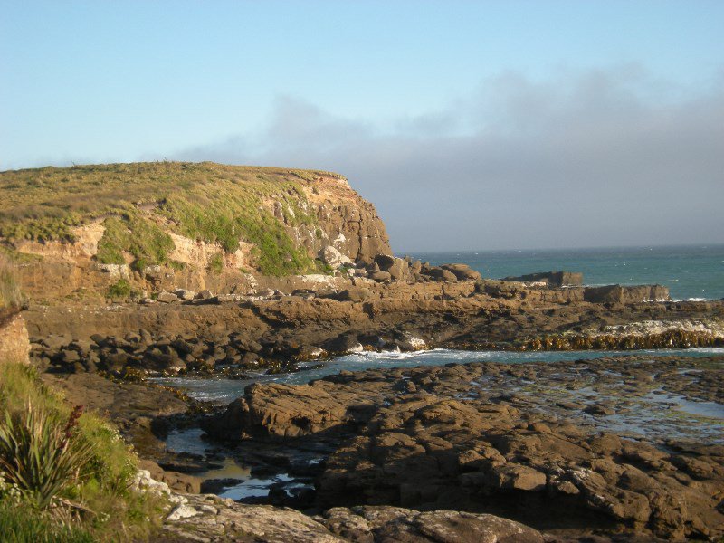 71. View from Curio Bay Campsite