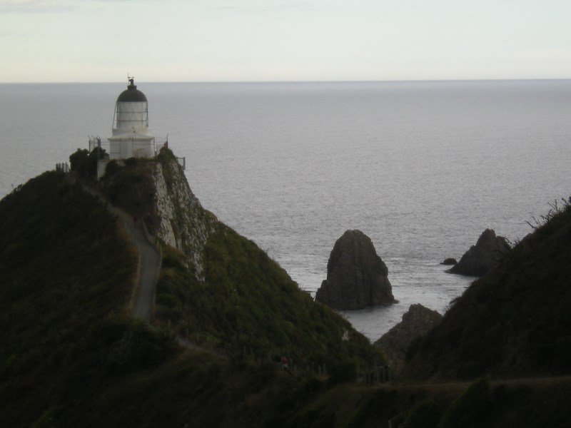 56. Nugget Point