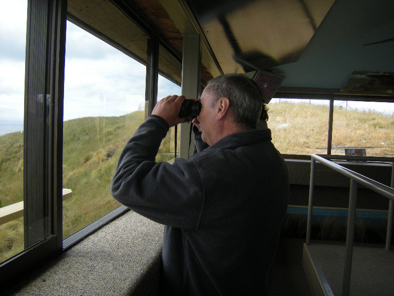 50. D in the Hide at Royal Albatross Centre