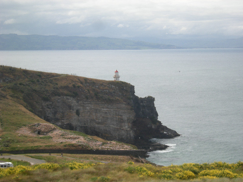 56. Taiaaroa Head and Lighthouse