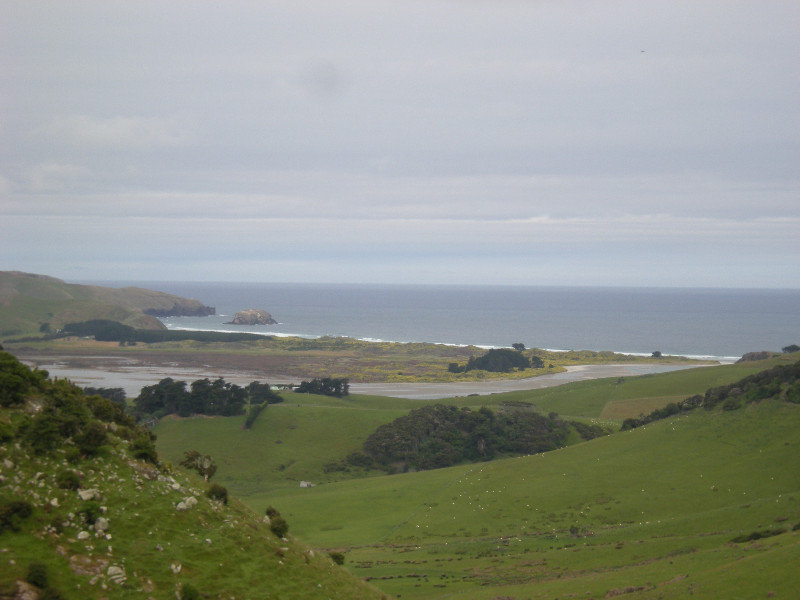58.  South East Coast Otago Peninsula
