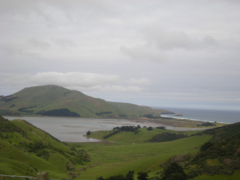 59.  South East Coast Otago Peninsula