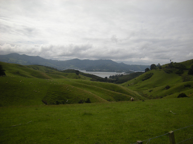 57. South East Coast Otago Peninsula