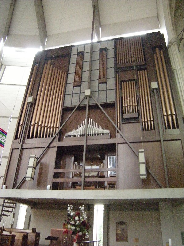 17. The Organ - St Pauls