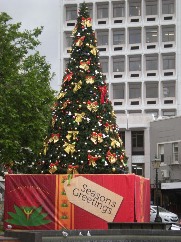 19. Christmas  Tree, The Octabon, Dunedin