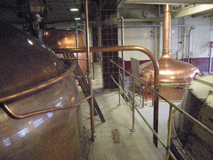 34.  Speights Brewery Tour