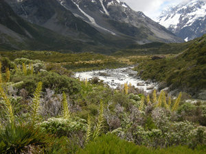 35. The Hooker River Valley