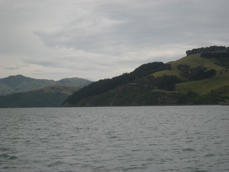 19. Sailing down Akaroa Harbour