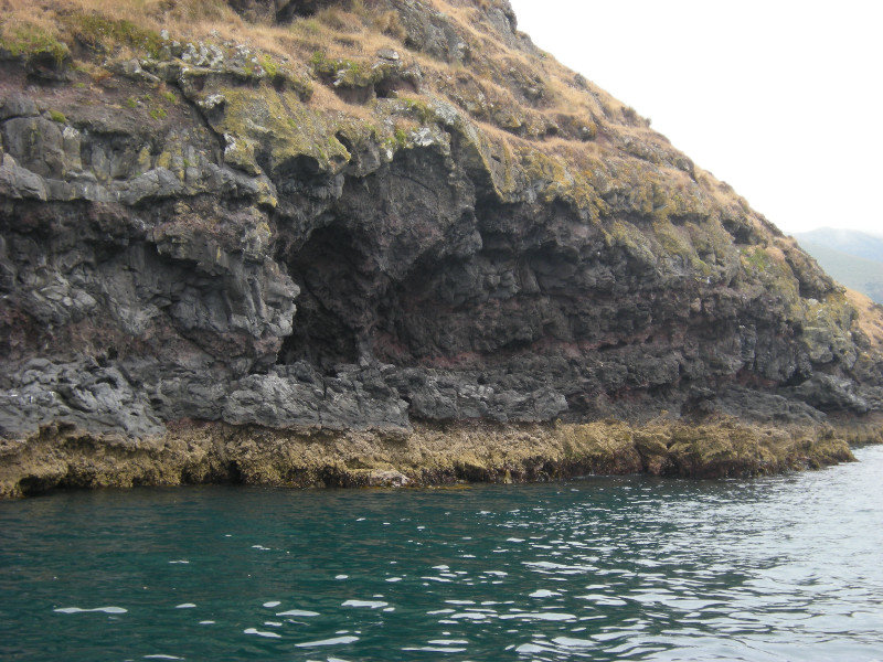 25. Flea Bay Fur Seal Colony