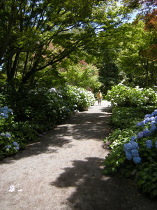 46. Botanical Gardens