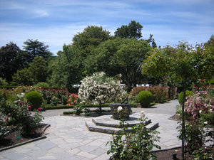 48. The Rose Garden, Botanical Gardens