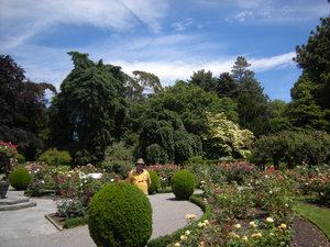49. D in The Rose Garden, Botanical Gardens