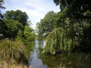 52. The Water Garden, Botanical Gardens