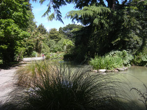 55. The Botanical Gardens - Water Garden