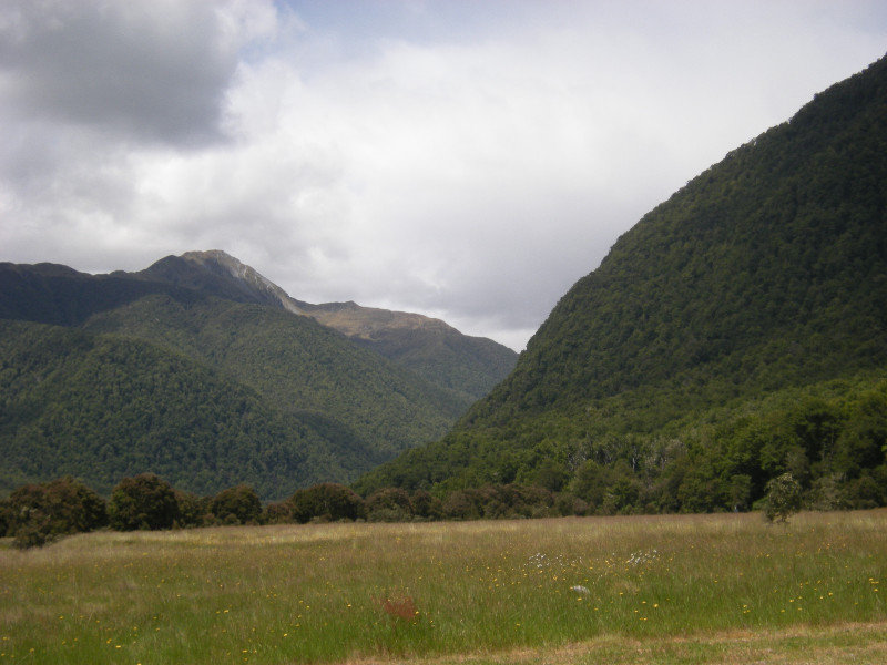 13. Lewis Pass Drive