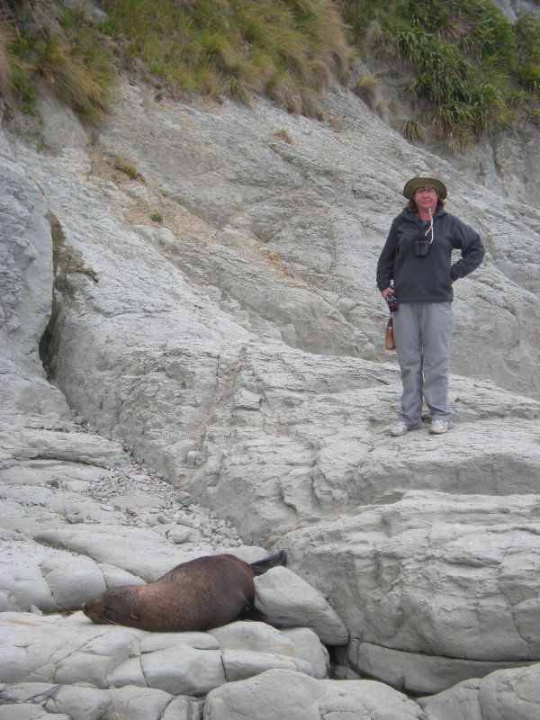 29. M with Fur Seal, Point Kean, Kaikoura Peninsula Walkway