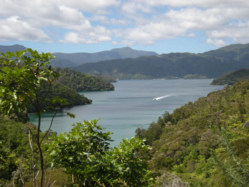 25. Queen Charlotte Sound from